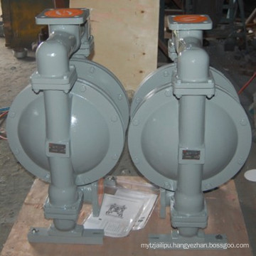 Air Operated Diaphragm Pump/Pneumatic Diaphragm Pump